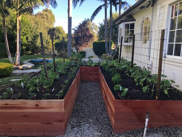 Raised Container Beds